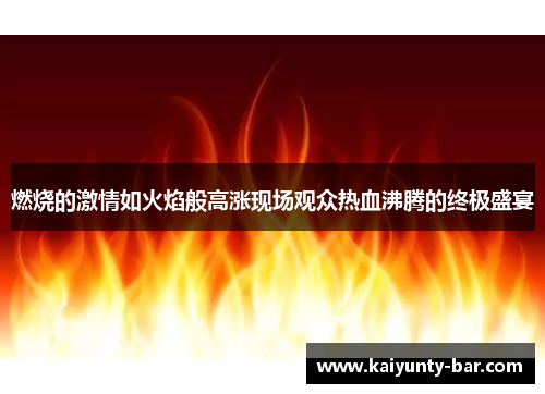 燃烧的激情如火焰般高涨现场观众热血沸腾的终极盛宴