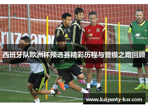 西班牙队欧洲杯预选赛精彩历程与晋级之路回顾