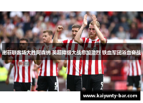 谢菲联客场大胜阿森纳 英超降级大战愈加激烈 铁血军团浴血奋战