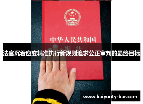 法官沉着应变精准执行新规则追求公正审判的最终目标