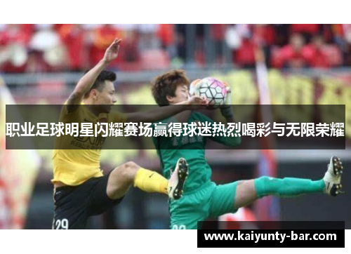 职业足球明星闪耀赛场赢得球迷热烈喝彩与无限荣耀