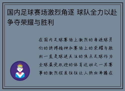 国内足球赛场激烈角逐 球队全力以赴争夺荣耀与胜利