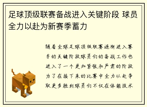 足球顶级联赛备战进入关键阶段 球员全力以赴为新赛季蓄力