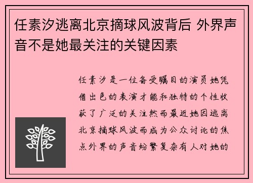 任素汐逃离北京摘球风波背后 外界声音不是她最关注的关键因素